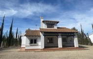 Villa - New Build - Fuente alamo de Murcia - SP-20134