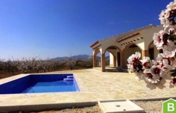 New Build - Villa - Pinoso - CENTRO