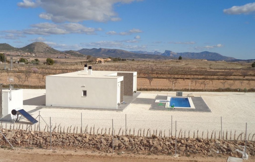 New Build - Villa - Pinoso - Camino Del Prado