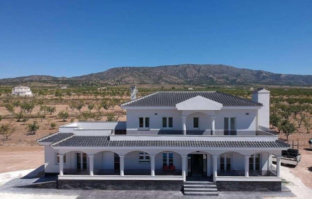 New Build - Villa - Pinoso - Camino Del Prado