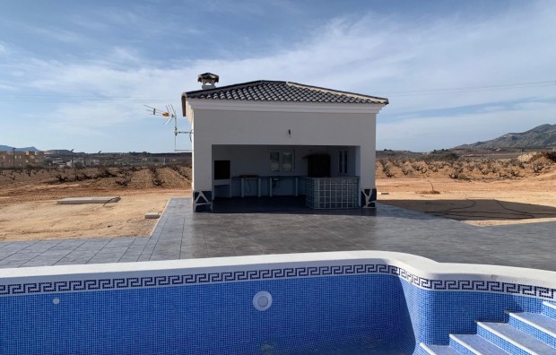 Nueva construcción  - Villa - Pinoso - Camino Del Prado