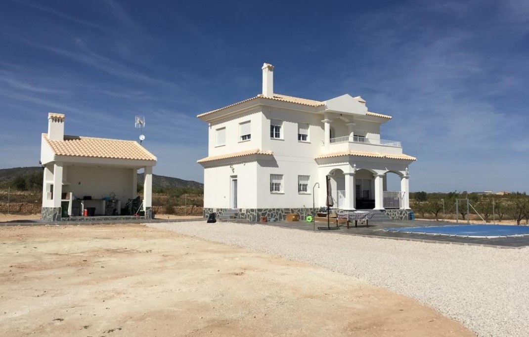 Nueva construcción  - Villa - Pinoso - Camino Del Prado