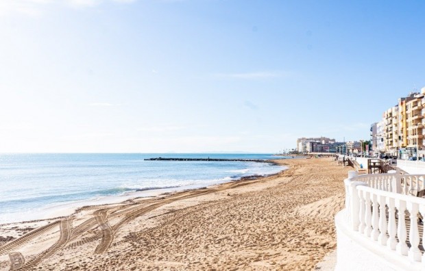 Nueva construcción  - Bungalow - Torrevieja - Lago jardin