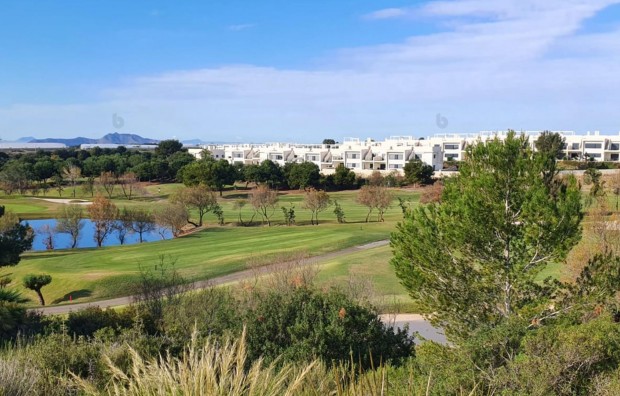 Nieuwbouw - Villa - Pilar de la Horadada - Lo Romero Golf