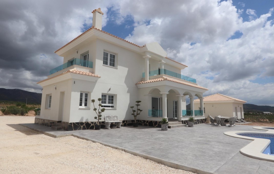 New Build - Villa - Pinoso - Camino Del Prado