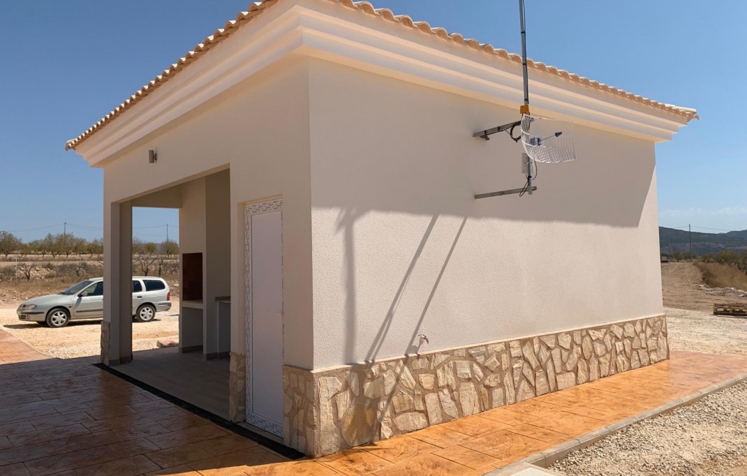 Nueva construcción  - Villa - Pinoso - Camino Del Prado