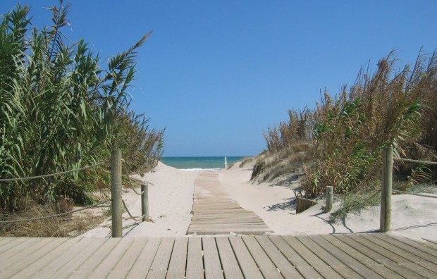 Nieuwbouw - Bungalow - Pilar de la Horadada - La Torre de la Horadada