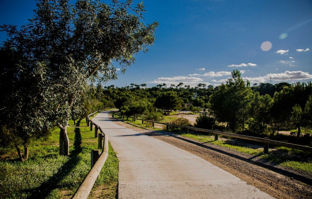 Nueva construcción  - Villa - Rojales - Ciudad Quesada