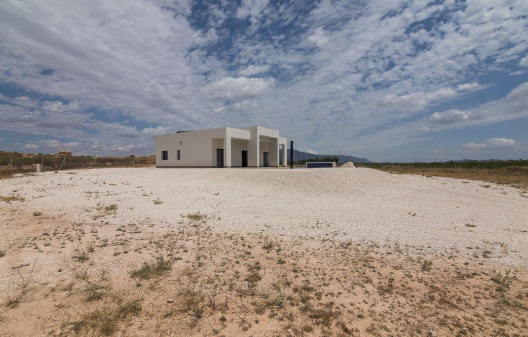 Nueva construcción  - Villa - Pinoso - Campo