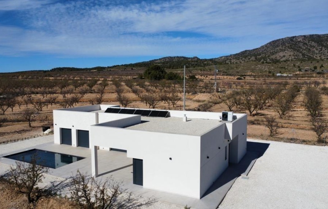 New Build - Villa - Pinoso - Campo