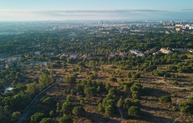 Nueva construcción  - Ático - Godella - Urb. Campolivar