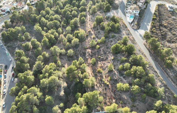 Nueva construcción  - Villa - Alfas del Pí - Escandinavia