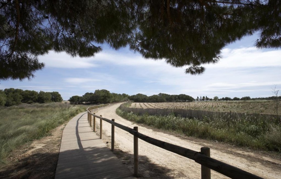 Nueva construcción  - Bungalow - Torrevieja - Torrejón