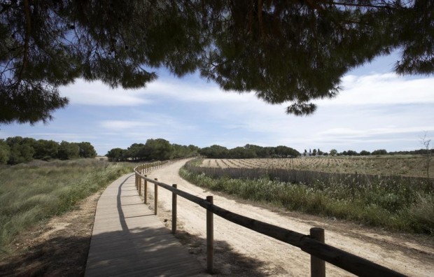 Nueva construcción  - Town House - Torrevieja - Aguas Nuevas