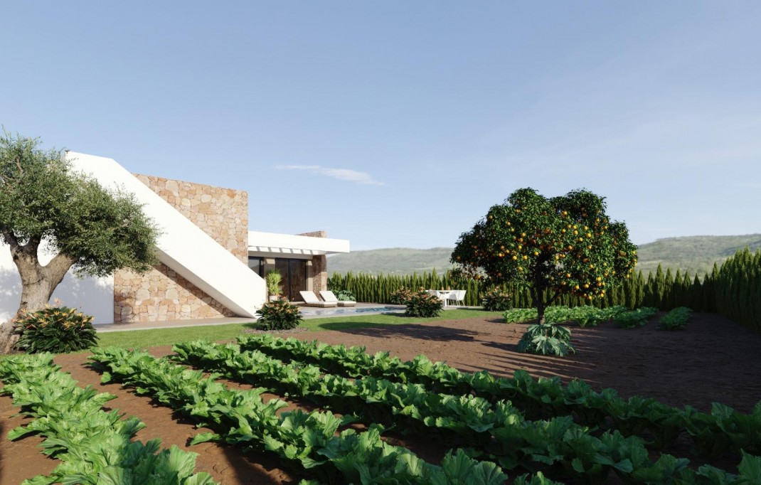 New Build - Villa - Fuente Álamo - Hacienda del Alamo