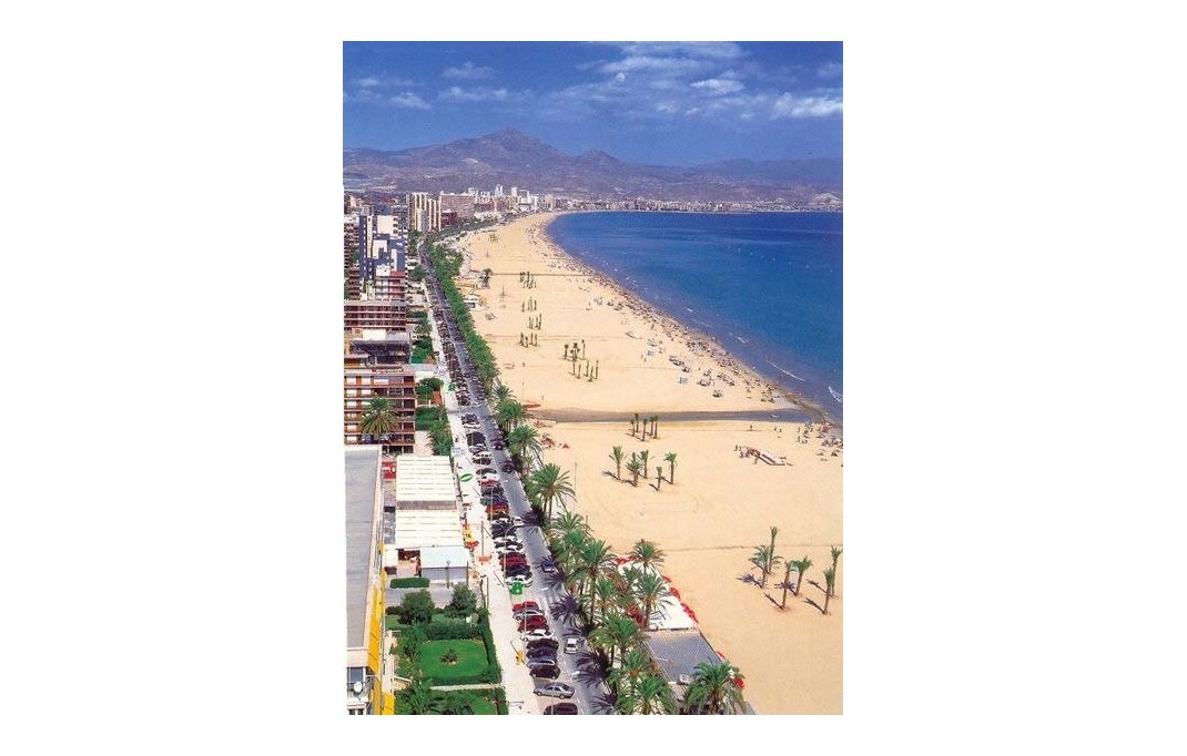 New Build - Apartment - San Juan Alicante - Franc Espinós