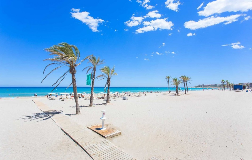 New Build - Apartment - San Juan Alicante - Franc Espinós