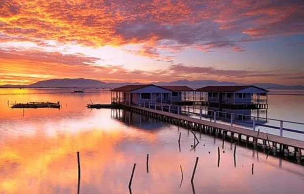 New Build - Bungalow - San Pedro del Pinatar - Los Pinos