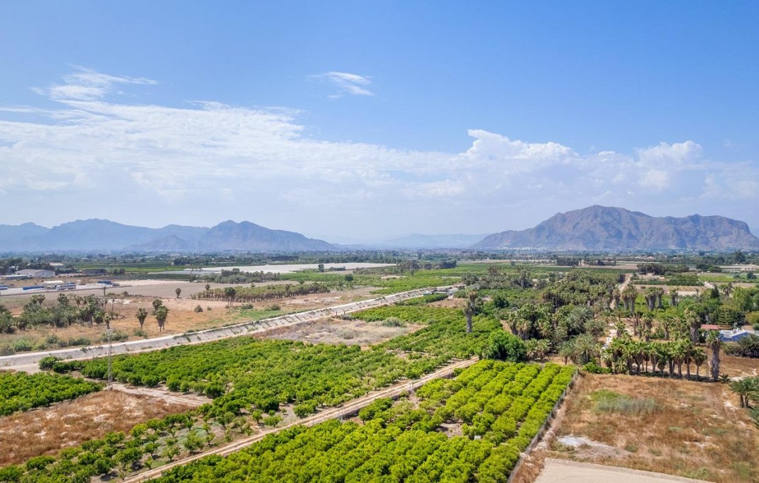 New Build - Penthouse - Jacarilla - Comunidad Valenciana