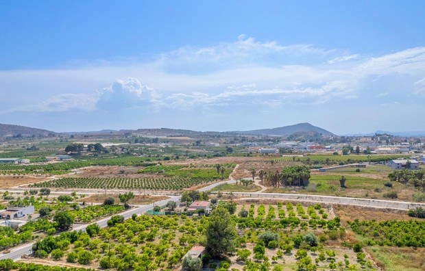 New Build - Penthouse - Jacarilla - Comunidad Valenciana