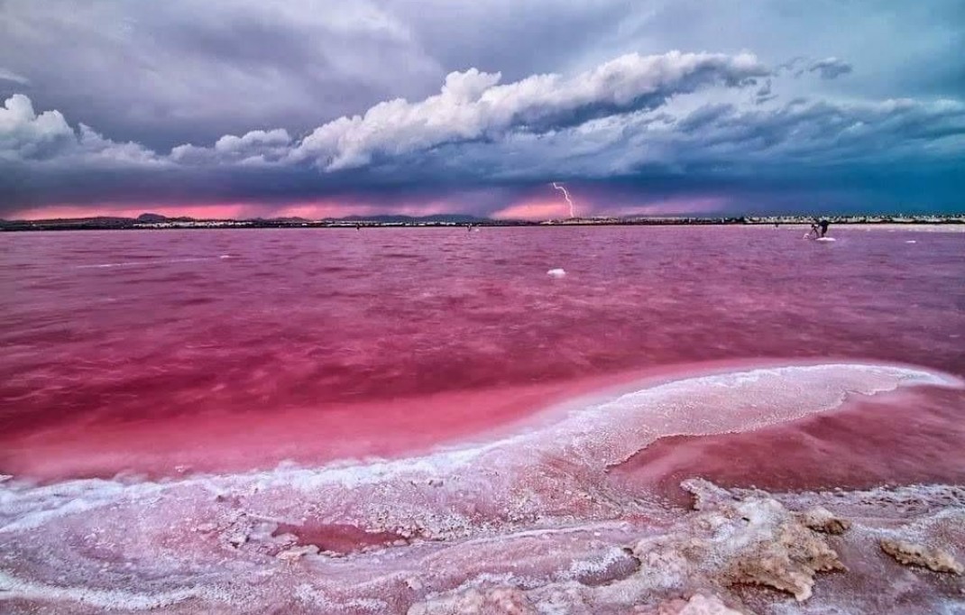 New Build - Apartment - Torrevieja - Centro