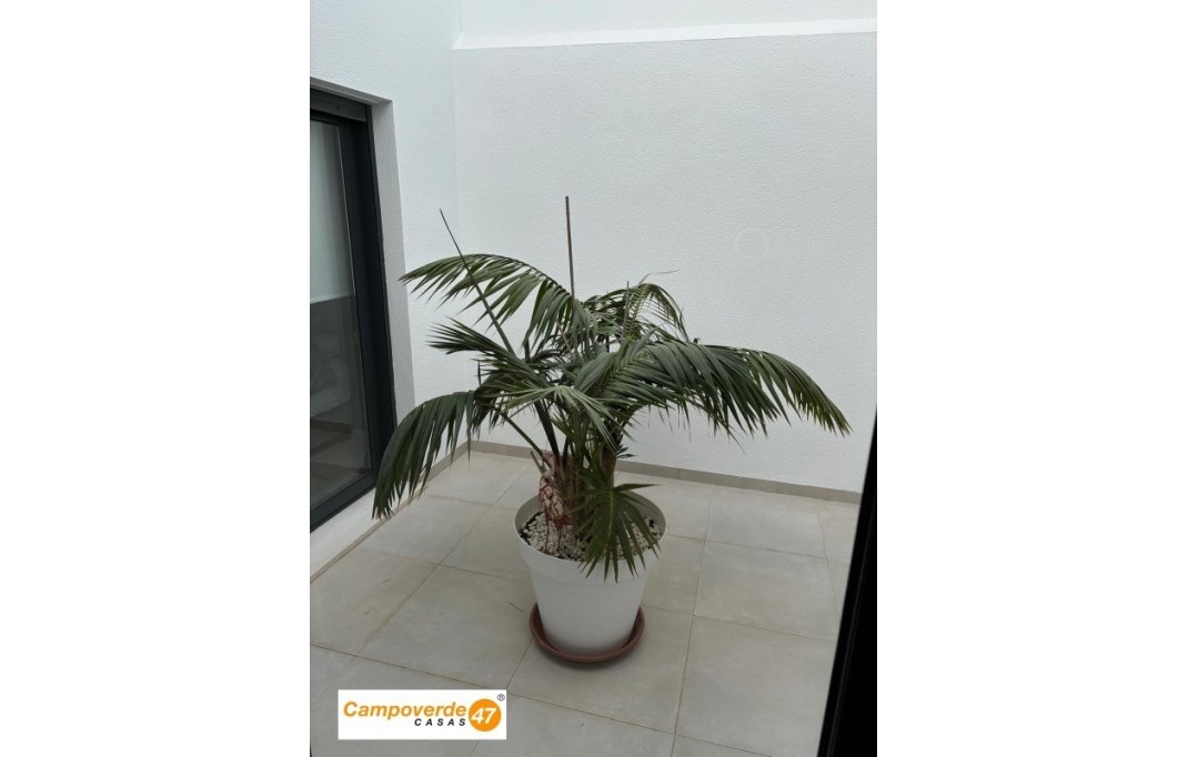 Venta - Villa / Semi pareado - Pilar de la Horadada - pueblo