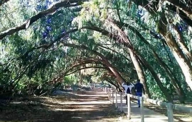 New Build - Bungalow - Torrevieja - Altos del Sol