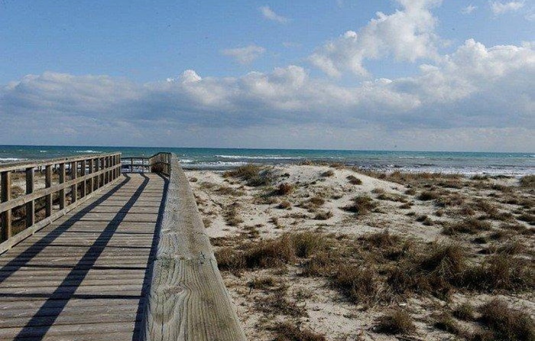 New Build - Villa - San Pedro del Pinatar - CENTRO