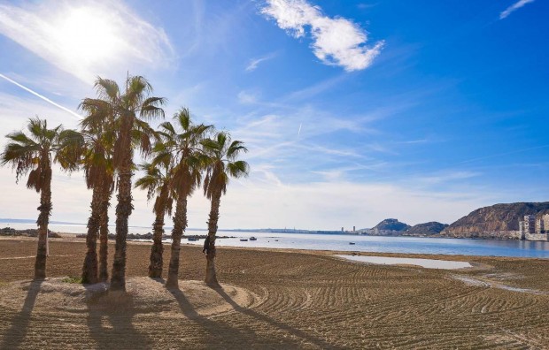 New Build - Villa - Els Poblets - Partida Barranquets