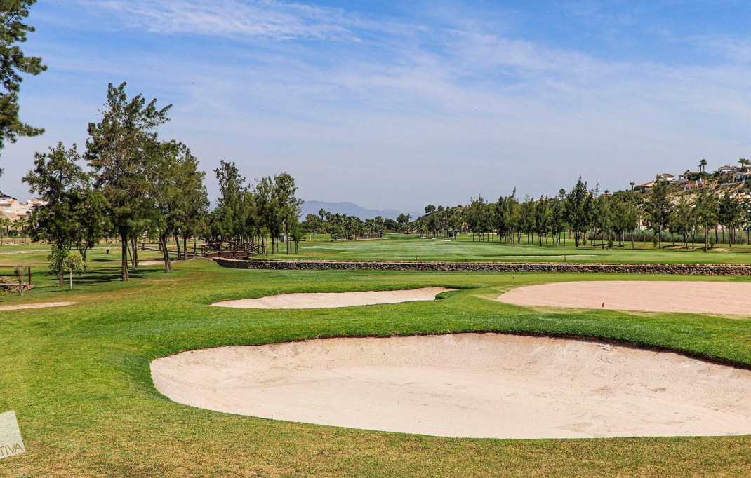 New Build - Villa - Rojales - Ciudad Quesada