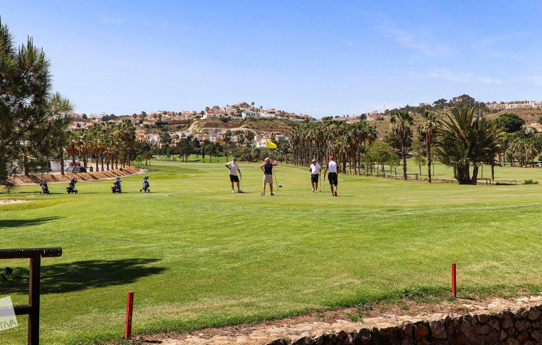 New Build - Villa - Rojales - Ciudad Quesada