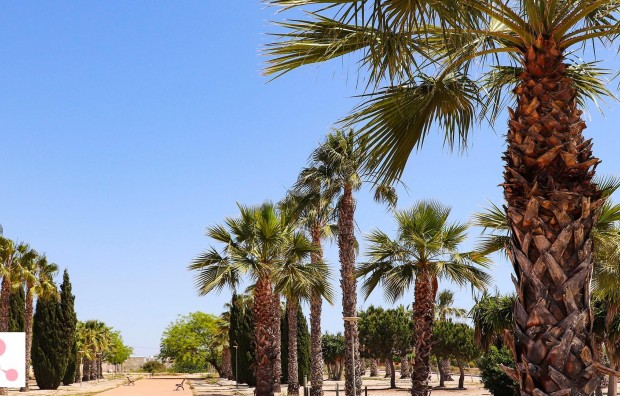 New Build - Villa - San Fulgencio - La Escuera