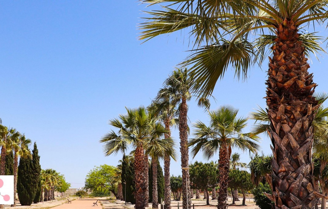 New Build - Villa - San Fulgencio - La Escuera