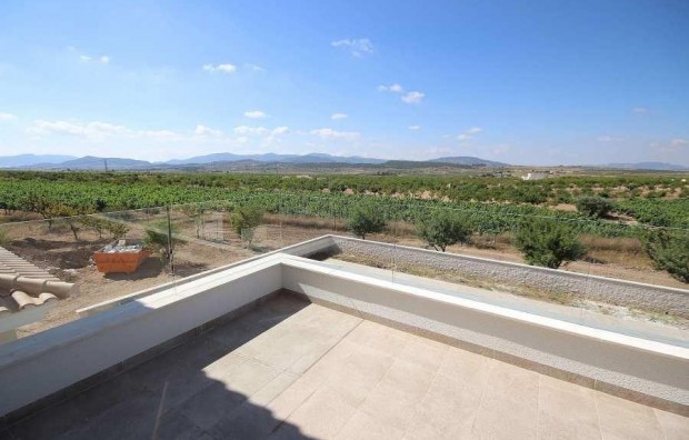 New Build - Villa - Pinoso - Camino Del Prado