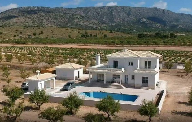 New Build - Villa - Pinoso - Camino Del Prado