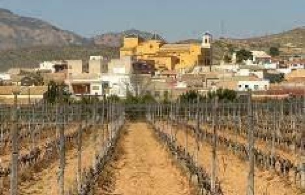 Nieuwbouw - Bungalow - Hondón de las Nieves - El Salero