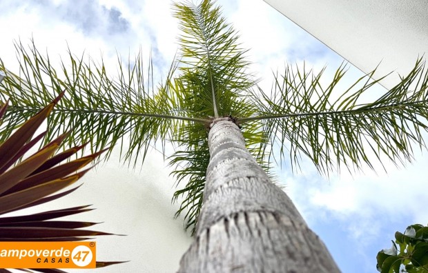 Sales - Villa / Semi semi-detached - Pilar de la Horadada - Zona Pueblo