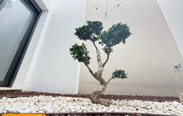 Sales - Villa / Semi semi-detached - Pilar de la Horadada - Zona Pueblo