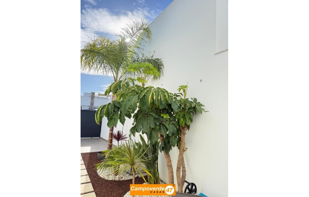 Sales - Villa / Semi semi-detached - Pilar de la Horadada - Zona Pueblo