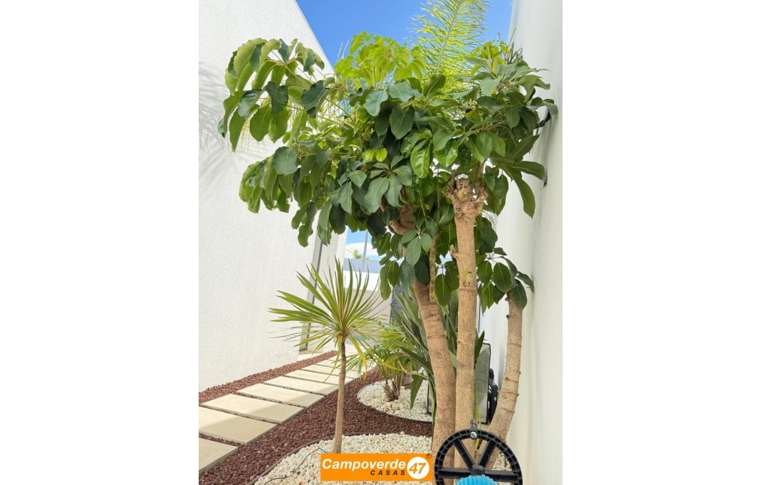 Sales - Villa / Semi semi-detached - Pilar de la Horadada - Zona Pueblo