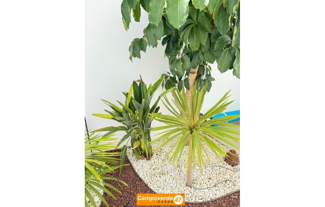 Sales - Villa / Semi semi-detached - Pilar de la Horadada - Zona Pueblo