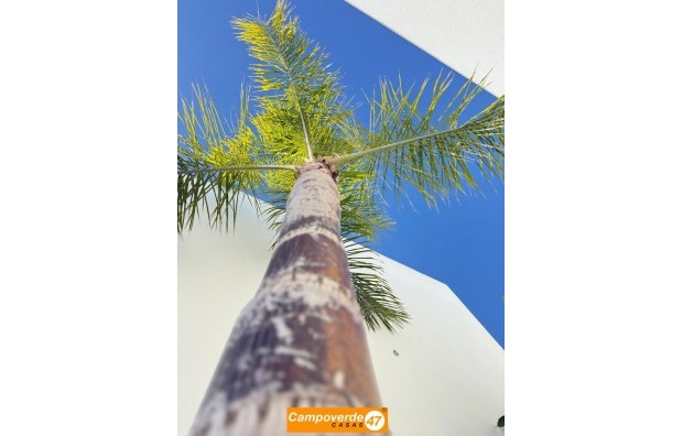 Sales - Villa / Semi semi-detached - Pilar de la Horadada - Zona Pueblo