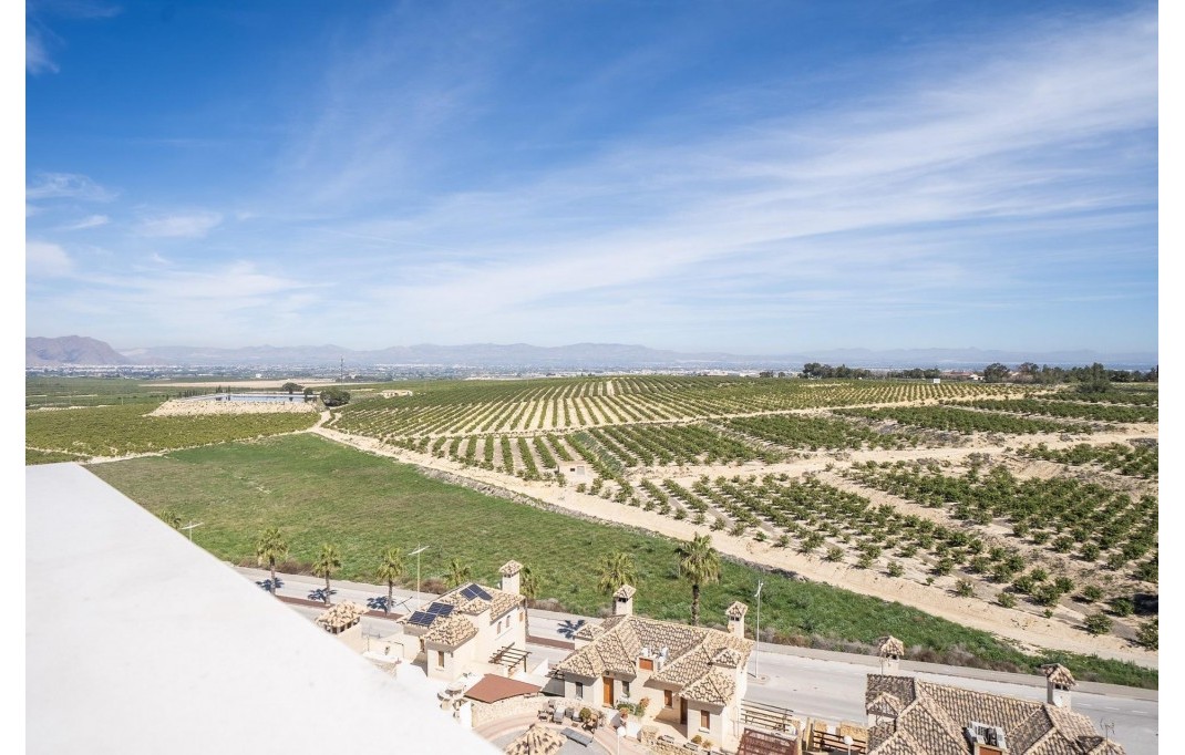 Nieuwbouw - Villa - Algorfa - La finca golf