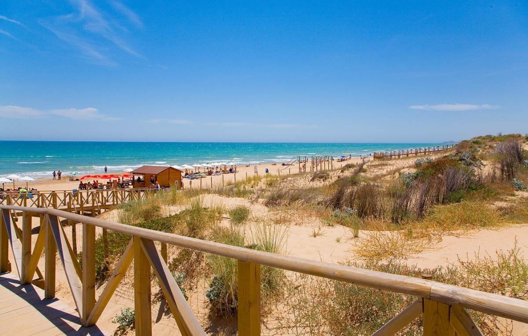 Nieuwbouw - Apartment - Guardamar del Segura - Pueblo