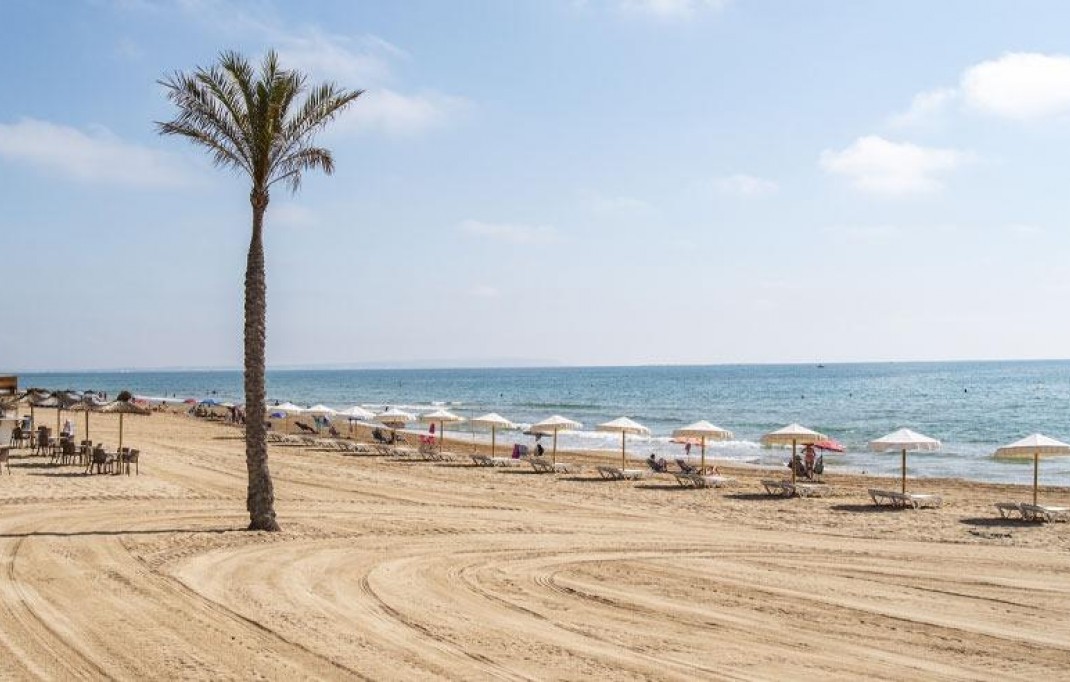 Nieuwbouw - Apartment - Guardamar del Segura - Pueblo