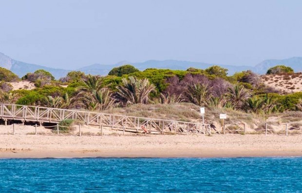 Nieuwbouw - Apartment - Guardamar del Segura - Pueblo