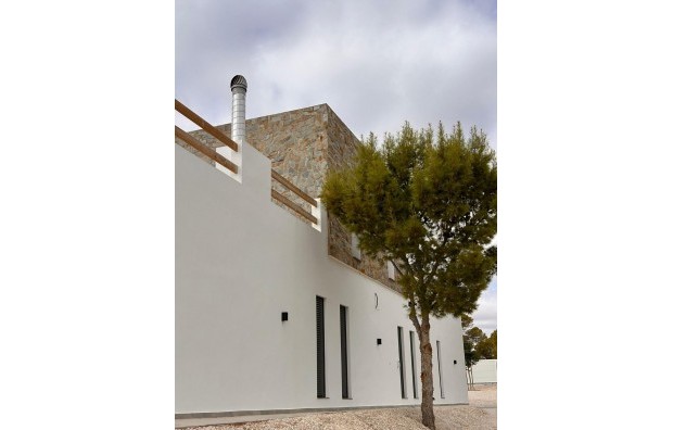 Nieuwbouw - Villa - Pinoso - Casas Pastor