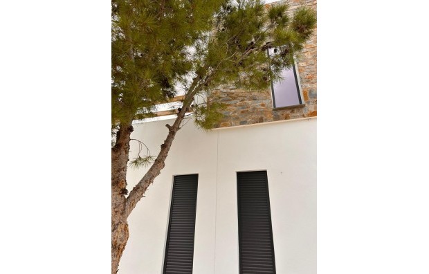 Nieuwbouw - Villa - Pinoso - Casas Pastor