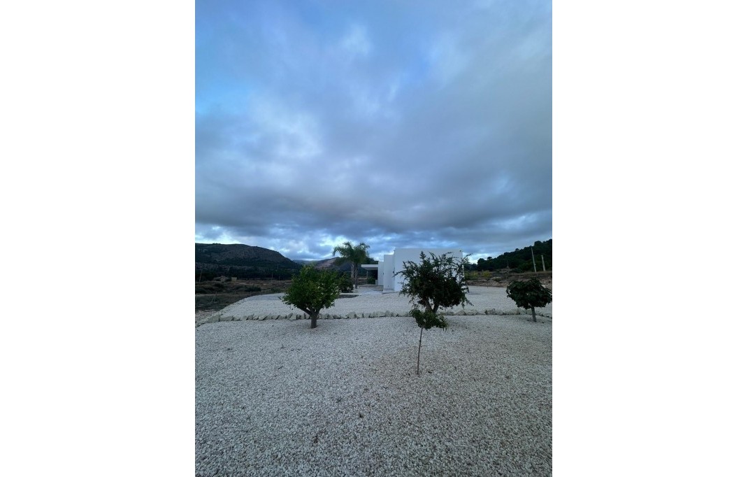 Nieuwbouw - Villa - Pinoso - Casas Pastor