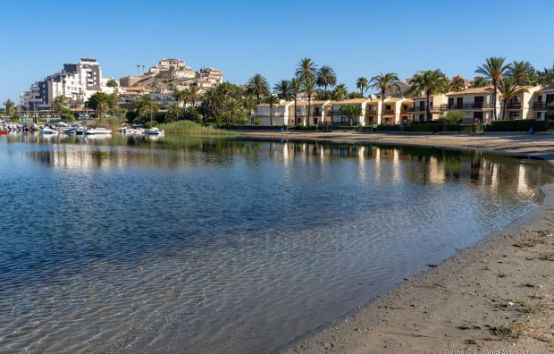 Nueva construcción  - Bungalow - La Manga Club